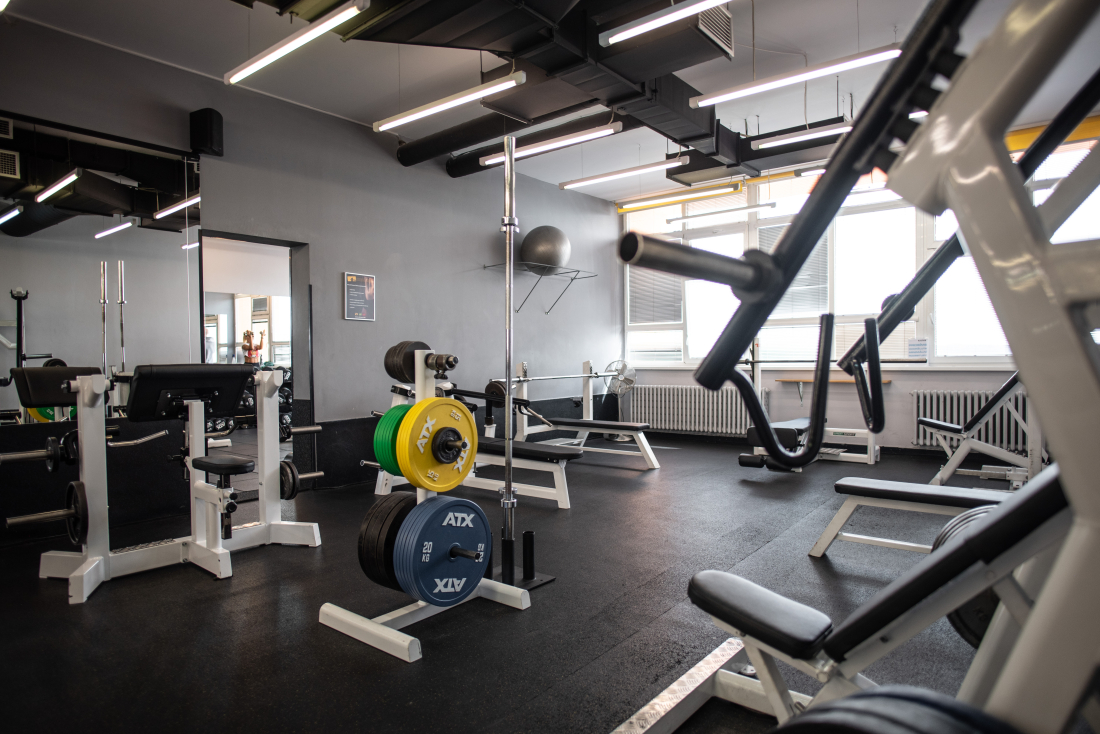 FITNESS - Domyno
