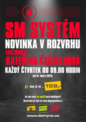smsystem24